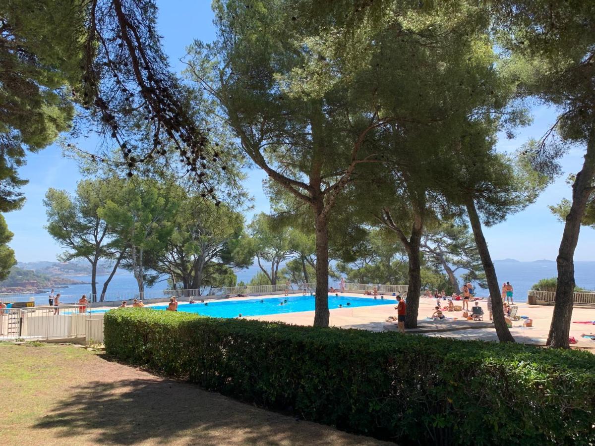 Appartement Horizon Bleu : Pieds Dans L'eau Bandol